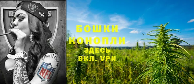 где купить   Вяземский  Шишки марихуана Ganja 